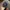 LMC Streetwear Skater Hat Pria navy photo 1
