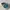 Nike Skater Sportswear Sneakers Pria multicolor blue photo 8