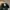 VANS Streetwear Skater Hat Pria black photo 6