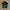 VANS Streetwear Skater Hat Pria black photo 5
