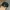 Streetwear Skater Hat Pria black photo 4