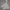 Nike Streetwear Sportswear Jumper Pria cream photo 1