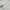 Nike Streetwear Sportswear Jumper Pria cream photo 3