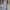 Minimalist Muslim Bodycon dress Wanita gray photo 1