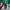 GAP Casual Hoody Pria green photo 4