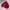 Baracuta Vintage Casual Harrington Jacket Pria Burgundy