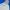 Thisisneverthat Streetwear Casual Sweatshirt Pria Cream