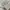 Guess Casual Harrington jacket Pria khaki photo 4