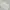 Yohji Yamamoto Avant Garde Formal shirt Pria white photo 8