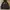 DogTown Casual Hoody Pria black photo 2