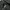 Carhartt Streetwear Y2K Hoody Pria black photo 5