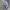 Adidas Sportswear Casual Sweatpants & Joggers Pria gray photo 6