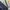 Mizuno Sportswear Track jacket Pria navy photo 8