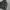 Carhartt Streetwear Y2K Hoody Pria black photo 2
