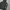 Carhartt Streetwear Y2K Hoody Pria Black
