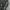Carhartt Streetwear Y2K Hoody Pria black photo 3