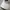 Nike Casual Hat Pria white photo 3