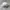Nike Casual Hat Pria white photo 5