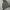 Carhartt Streetwear Y2K Hoody Pria gray photo 5