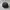 47 Brand Sportswear Hat Pria gray photo 4