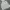 Carhartt Streetwear Y2K Hoody Pria gray photo 4