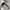 Carhartt Streetwear Y2K Hoody Pria gray photo 6