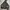 Adidas Y2K Hoody Pria Brown