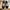 VANS Streetwear Sportswear Sneakers Pria white black photo 7