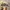 VANS Streetwear Sportswear Sneakers Pria white black photo 1