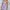 Y2K Luxury Going Out Dress Wanita Purple