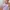 Y2K Luxury Going out dress Wanita purple photo 3