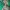 Vintage Biker Bomber jacket Pria green photo 3