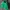 Vintage Biker Bomber jacket Pria green photo 5