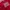 Dickies Casual Fleece Pria Red