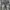 Streetwear Jeans Pria gray photo 5