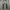 Streetwear Jeans Pria gray photo 4