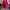 Thisisneverthat Casual Hoody Pria Red