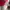 thisisneverthat Casual Hoody Pria red photo 3