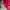 thisisneverthat Casual Hoody Pria red photo 5