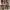 VANS Streetwear Casual Sneakers Pria burgundy photo 7