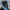 Porter Yoshida Vintage Streetwear Bag Pria blue photo 7