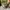 Vintage Streetwear Casual pants Pria green photo 4
