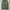 Vintage Streetwear Casual pants Pria green photo 5