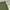 Vintage Streetwear Casual pants Pria green photo 7