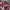 Uniqlo Vintage Casual Casual shirt Pria red photo 4