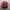 Japanese brand Vintage Casual Bag Pria red photo 2
