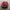 Japanese Brand Vintage Casual Bag Pria Red
