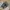 Dr. Martens Streetwear Casual Loafer Pria multicolor photo 6