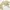 Japanese brand Vintage Fairy Cardigan Wanita tan photo 2