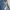 Zara Biker Casual Ripped jeans Wanita blue photo 3